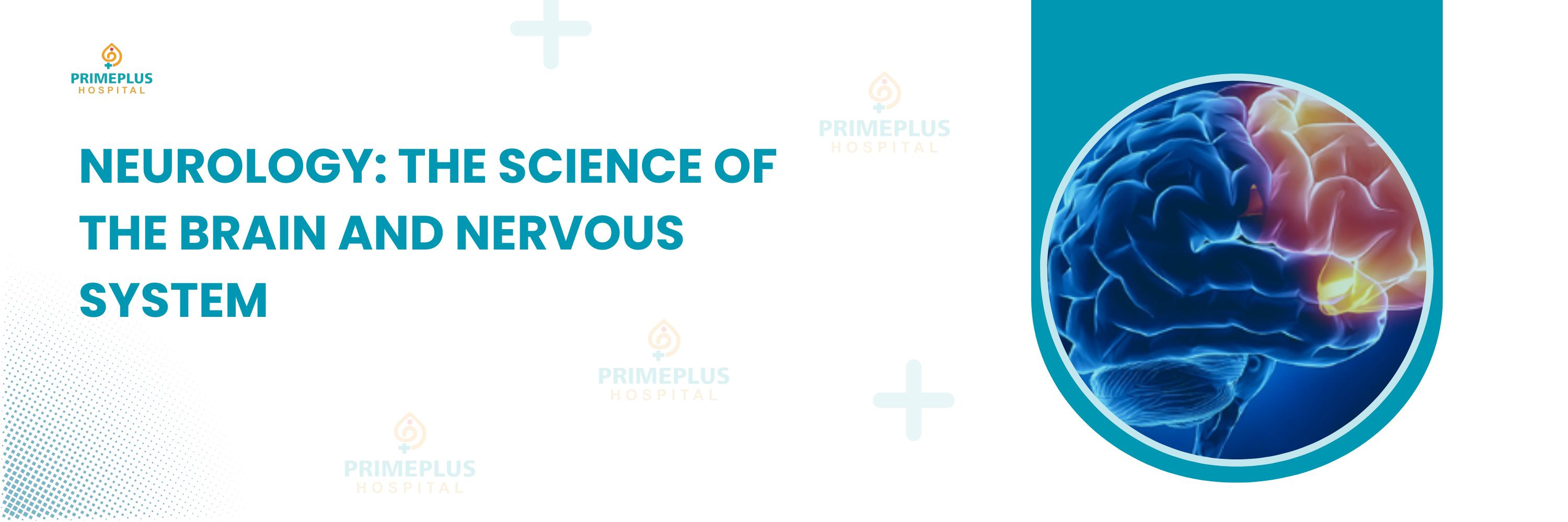 Best Neurology spine Brain Hospital and Doctor in Uruli kancha Primeplus Hospital